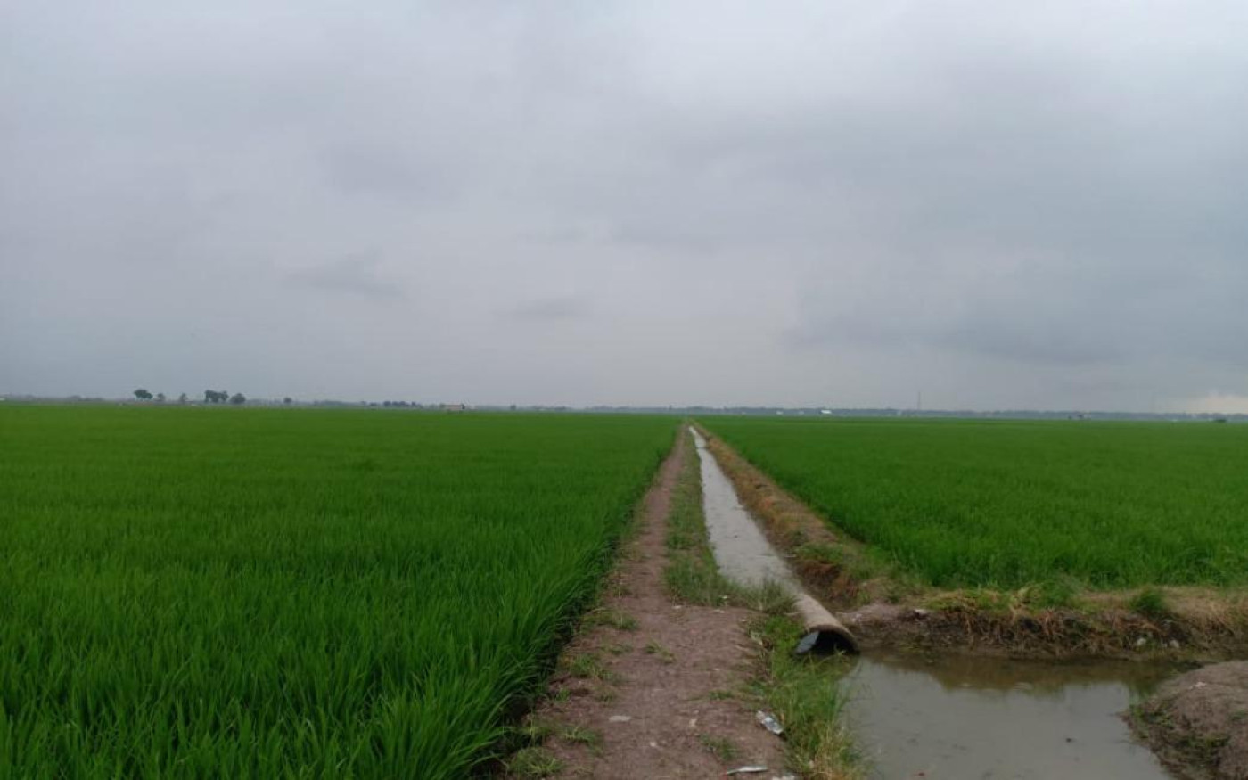 Blog Image