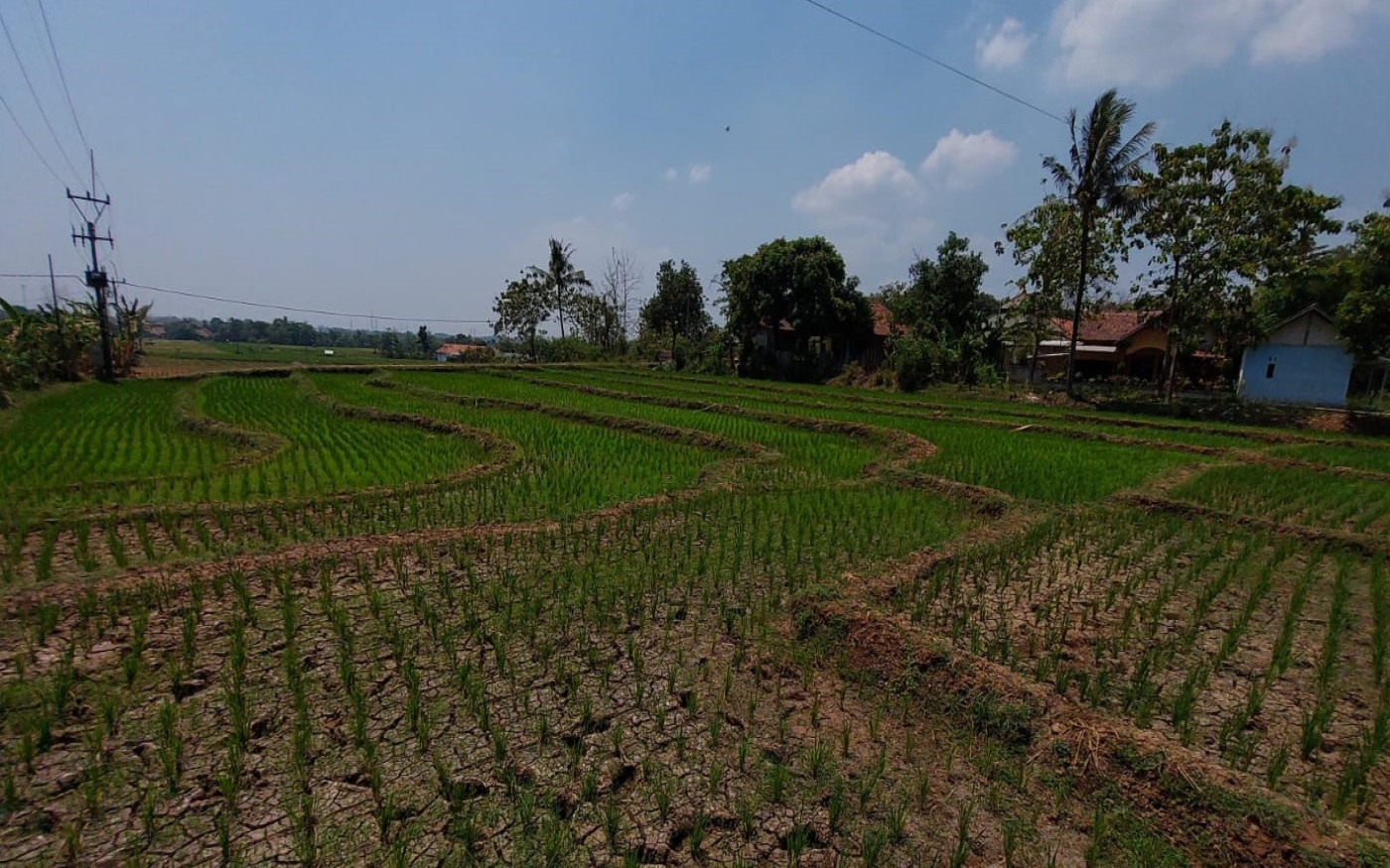 Blog Image