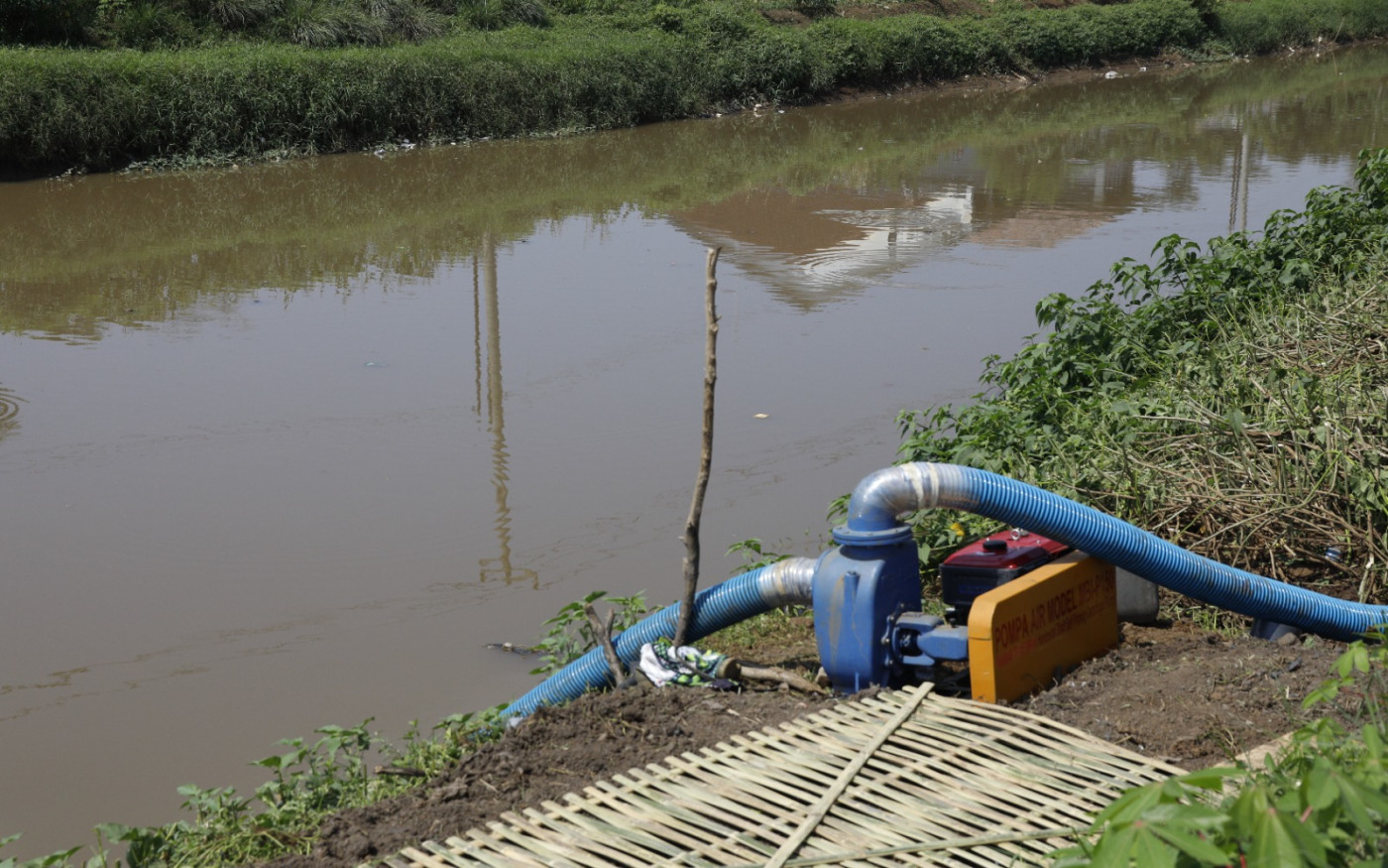 Blog Image