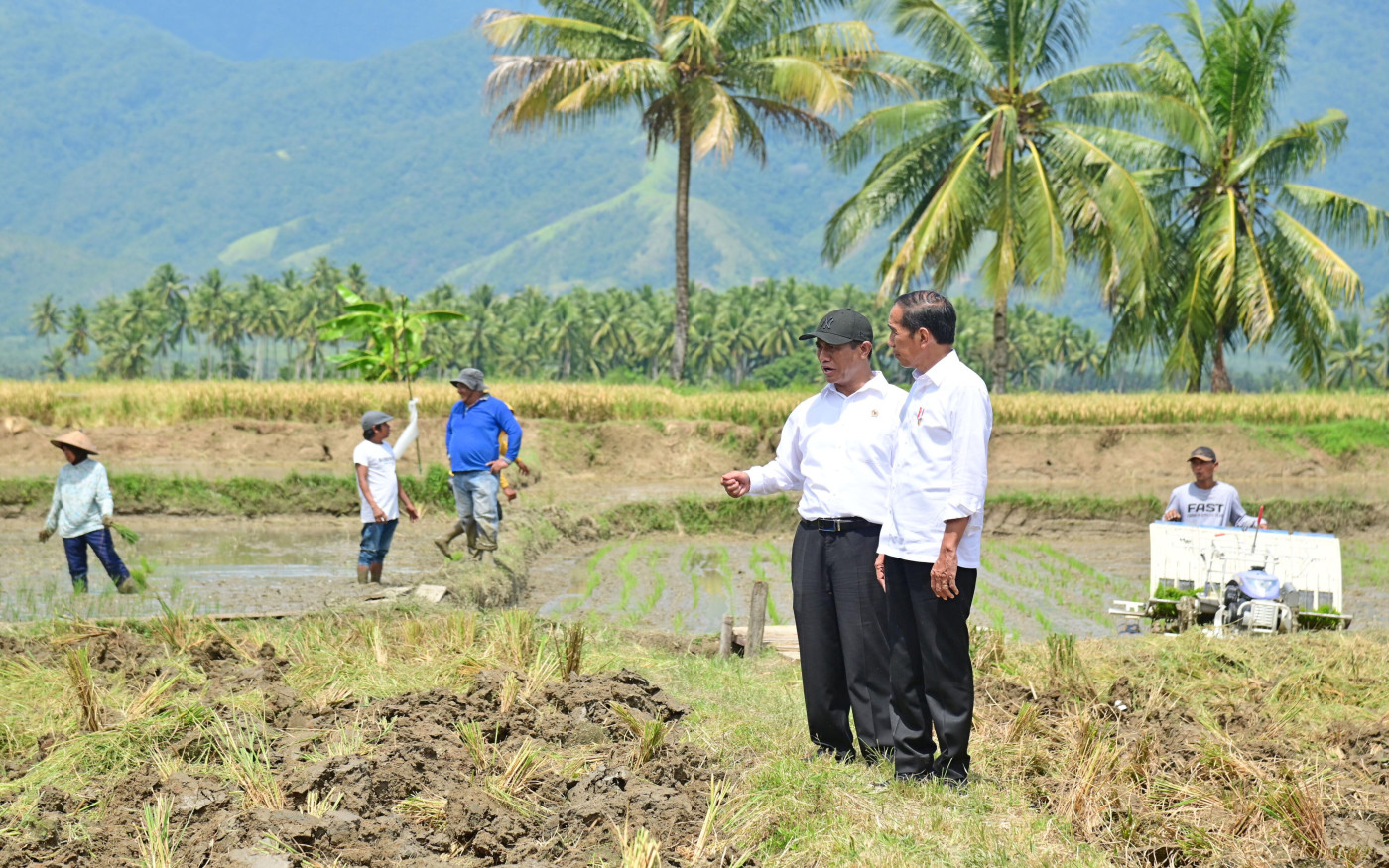 Blog Image