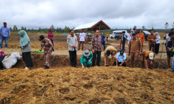 Program Food Estate Berdampak Besar Bagi Masyarakat Humbang Hasundutan