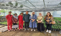 Kembangkan Teaching Factory Kopi, Polbangkan Kementan Cetak Wirausahawan Handal