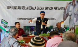 Penyuluh Sahabat Petani, Garda Terdepan Ketahanan Pangan Bangsa