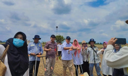 Kementan Bersama Petani Kabupaten Tanah Laut Lakukan Tanam Padi Serentak