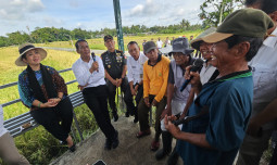 Ketua Komisi IV: Harga Gabah Anjlok di Jogja, Titiek Soeharto Semprot Bulog Harga Rp5500