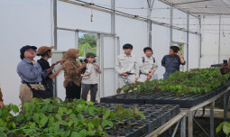 Sinergi Pembelajaran Pertanian, Fukui Norin Highschool Kunjungi SMK-PP Kementan di Banjarbaru