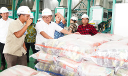 Kepala NFA Arief Prasetyo Adi Minta Bulog Perkuat Penyerapan Gabah Petani