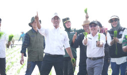 Tanam Padi Serentak, Mentan Optimis Produktivitas Jabar Terdongkrak