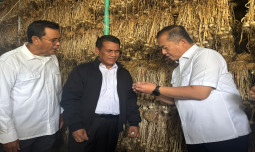 Mentan Amran: NTB Menjadi Pusat Komoditas Bawang Putih dan Jagung Nasional