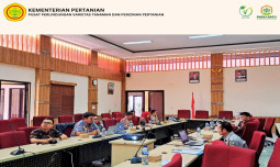 Kunjungi Kebun Pemeriksaan Substantif Manoko, Tim Akademisi UGM dan DJKI Makin Paham tentang Proses Uji BUSS dan Potensi Hak PVT