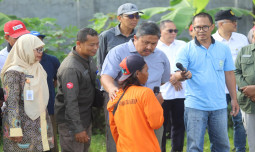 Tingkatkan Produksi Lewat Pompanisasi, Sekjen Kementan Berbagi Tips dan Pengalaman