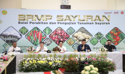 Kementan Perkuat Perbenihan Bawang Putih, DPR RI Dukung Peningkatan Produksi Dalam Negeri