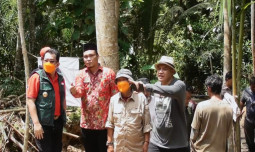 27% Tanah Pertanian di Kabupaten Tasikmalaya Belum Tersentuh Secara Utuh, Program UPLAND Project Disambut Antusias