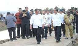 Presiden Kunjungi Pertanian Modern di Distrik Kurik, Mentan Amran Optimis Merauke Jadi Lumbung Pangan Indonesia Timur