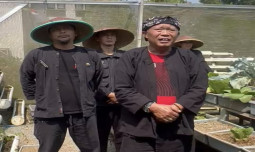 Kadis Pertanian Tasikmalaya: Kenaikan Harga Beras Bukan Karena Gagal Panen