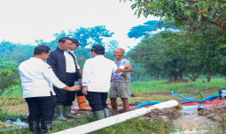 Mentan Amran Yakin Pompanisasi Bisa Majukan Pertanian di Sumedang
