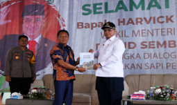 Wamentan Harap Peternak di Pasuruan Libatkan KUD untuk Tingkatkan Populasi Sapi Perah