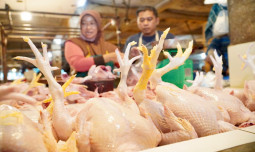 Pantauan Pasar Cileungsi Bogor, Daging Sesuai HAP, Cabai Rawit Mulai Turun