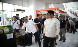 Mentan Amran: Koperasi Desa Merah Putih, Solusi Permanen untuk Stabilkan Harga Pangan