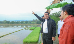 Dari Sumedang, Mentan Optimis Pompanisasi Bantu Ekonomi Petani
