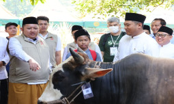 Wamentan Sudaryono: Ketersediaan Hewan Kurban Nasional Surplus, Pasokan Aman