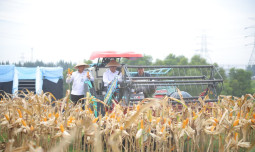 Mentan Amran: Tanam Jagung, Upaya Cegah Kejahatan Sejak di Hulu