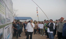 Food Estate Berjalan Baik dan Memberi Dampak Positif