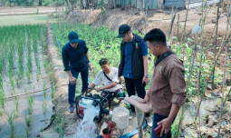 Petani Subang Siap Panen Melalui Kegiatan PPDPI di Tengah Ancaman EL Nino