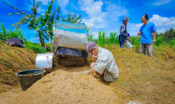 Harga Beras di Jepang Meroket Rp86.156 per Kilogram