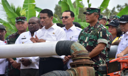 Mentan Cek Pompanisasi di Merauke,  Targetkan Pertanian Modern