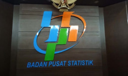 Data BPS, Sektor Pertanian Penyerapan Tenaga Kerja Tertinggi Pada Triwulan 1 2024