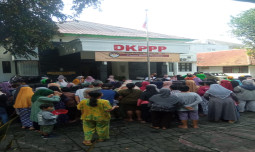 650 Paket Sayuran Gratis Banjiri Warga Temanggung, Dukung Petani Lokal