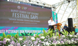 Dalam Festival Sapi APPSI di Jember, Mentan Amran Dorong Kemandirian Daging Nasional