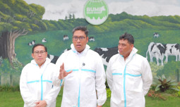Wamentan Sudaryono Imbau Peternak Sapi di Jawa Timur Segera Vaksinasi untuk Cegah PMK