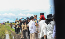 Mentan Amran Dorong Kalsel Tanam Padi 3 Kali Setahun, Saatnya Jadi Lumbung Pangan Nasional!